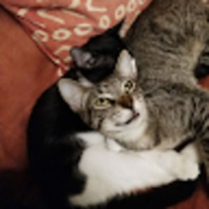 Meet your Posher, Joshua